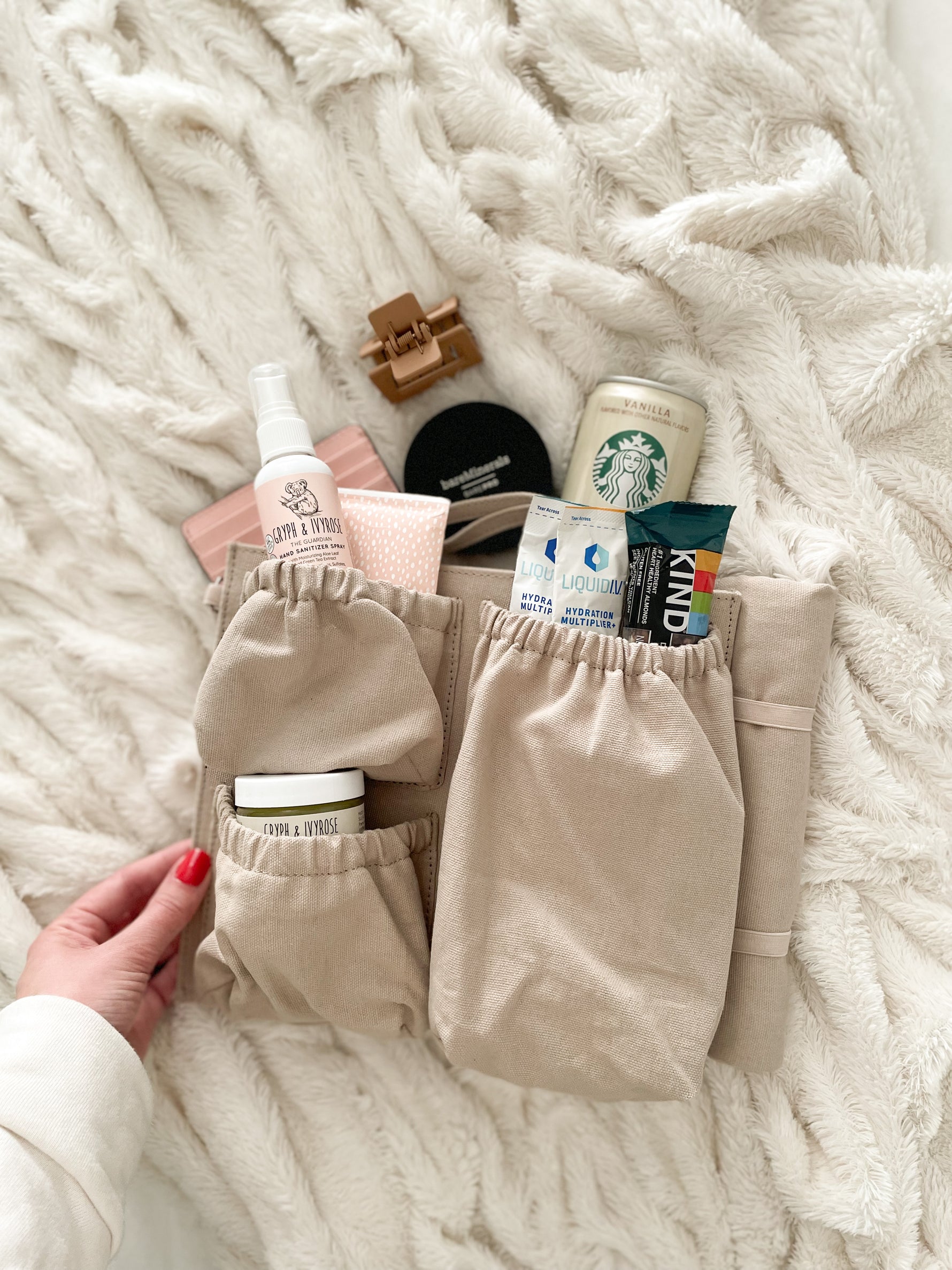 bag organizer for backpacks