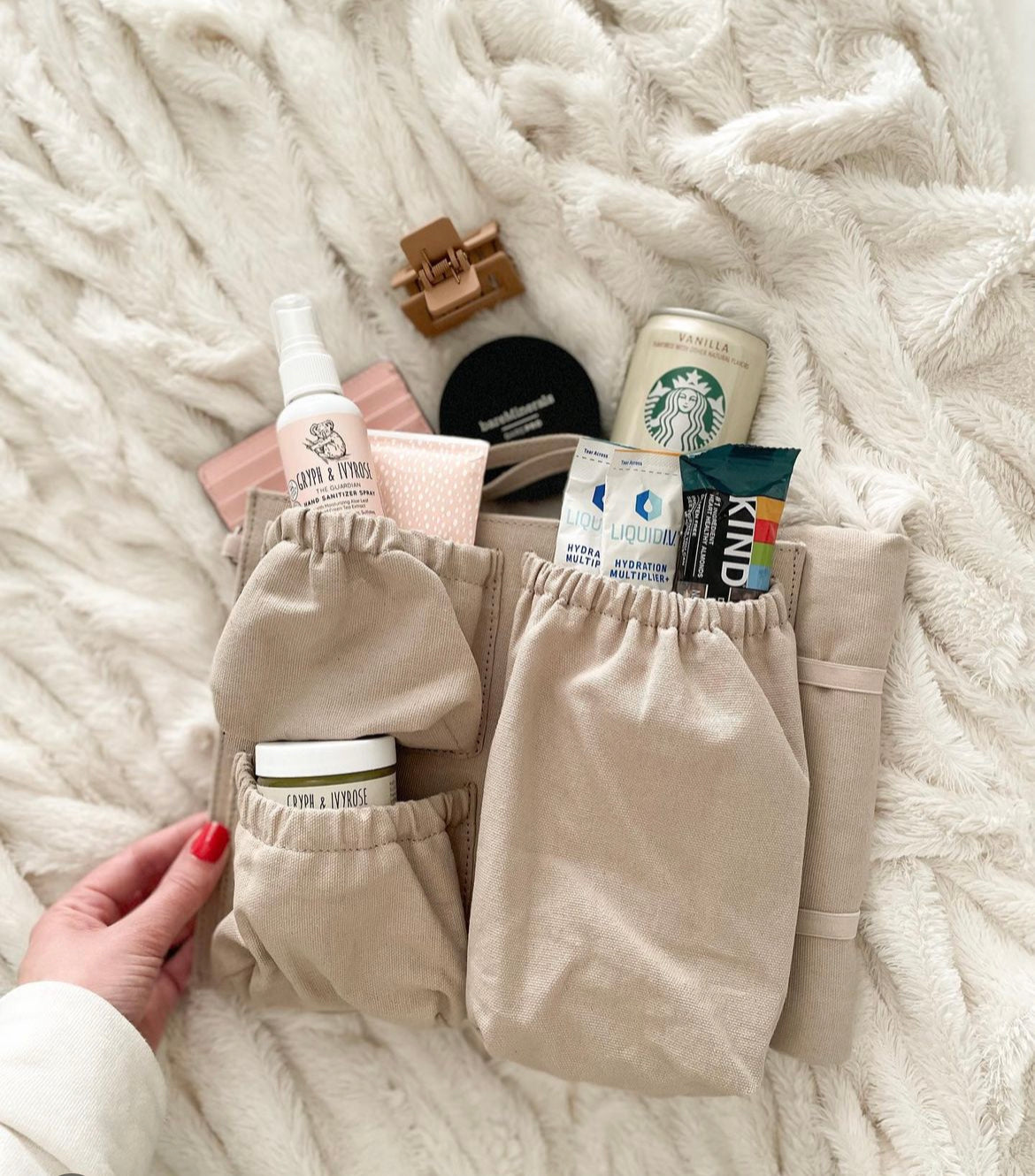 Mini Bag Organizer